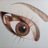 Brown Eye