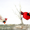 Cardinal Pair