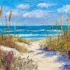 Sandy Dunes