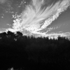 Marsh Cloudsape