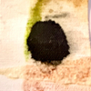 IMG 2632