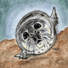 Gilsey Michelle Baby Beach Harbor Seal LOW Res jpeg
