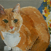 Karla's Cat by Alison Vernon