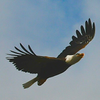 9G0A0845