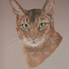 Bruno Byford copyright