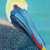 Blue Pelican