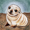 Gilsey Michelle Baby Beach Fur Seal LOW Res jpeg