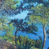 A View Through the Trees