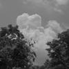 Black & white photograph of clouds 