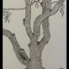 The Tree 223