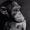 THE THINKER