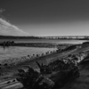 Schooner Forester at Low Tide - July 25 2026