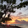 Sunsets and Nature