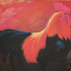 handsome bird