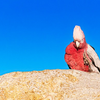 A Giving Bird