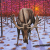 Moose at Yellowstone in Winter