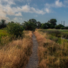 Switchyard Trail - July 1  2025