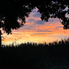 IMG 4191