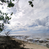 Vitamin Sea
