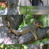 Squirrels 