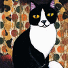 Tuxedo Love