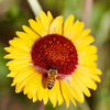 let's play Macro ....