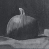 PUMPKIN PATCH BY MOONLIGHT