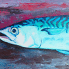 Mackrel Oil