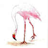 Flamingo Pair 1