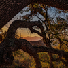 Mt. Diablo in an Oak Frame - October 3 2026
