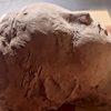Head