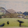 Rooks Conflab