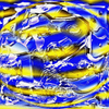 Crexis
