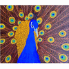 Hawaiian Peacock
