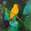 Yellow Bird