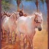 Desert Horses