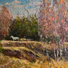 Along the forest road