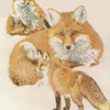 Red Fox Collage