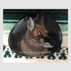 Oscar German Shepherd Dog Dot Art River Stone