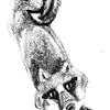 Kids Book Fox Sketch