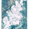 Monoprint Set 3