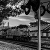 Freight Arrival at the Train Depot - September 4  2025