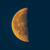 Half Moon - March 11  2026