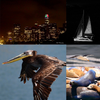 Best of the week 