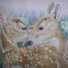 Twin Fawn Tenderness