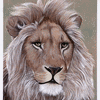 The Lion of Judah