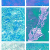 Monoprint Set 2