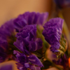 More purpley-1