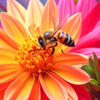 Big Bear Bee 3