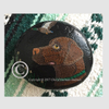 Chesapeake Bay Retriever Dot Art River Stone